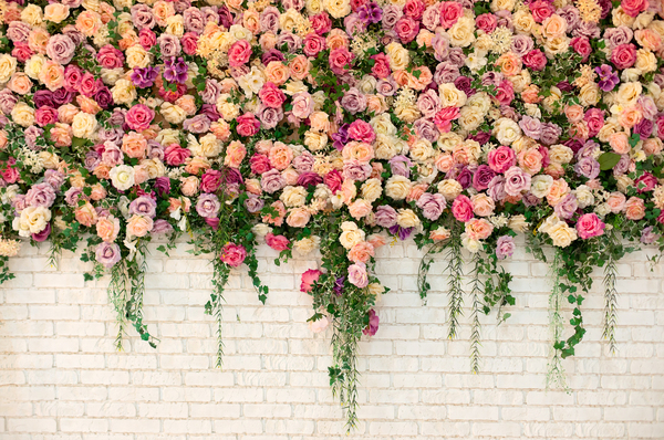 Communion backdrop CO 28