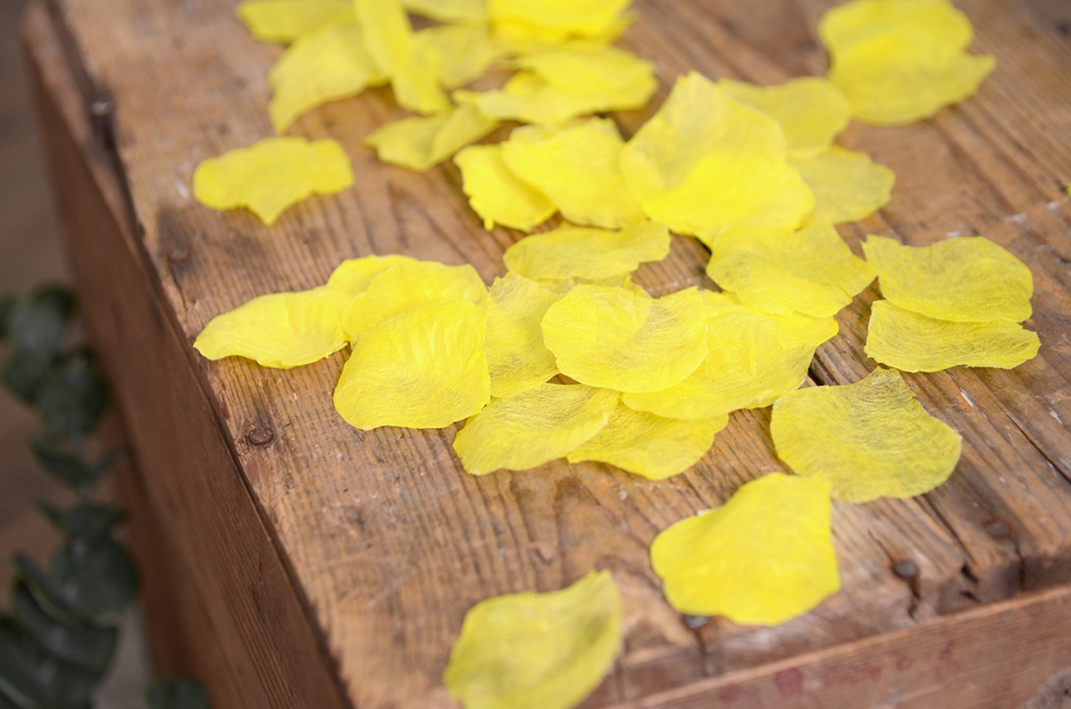Yellow petals