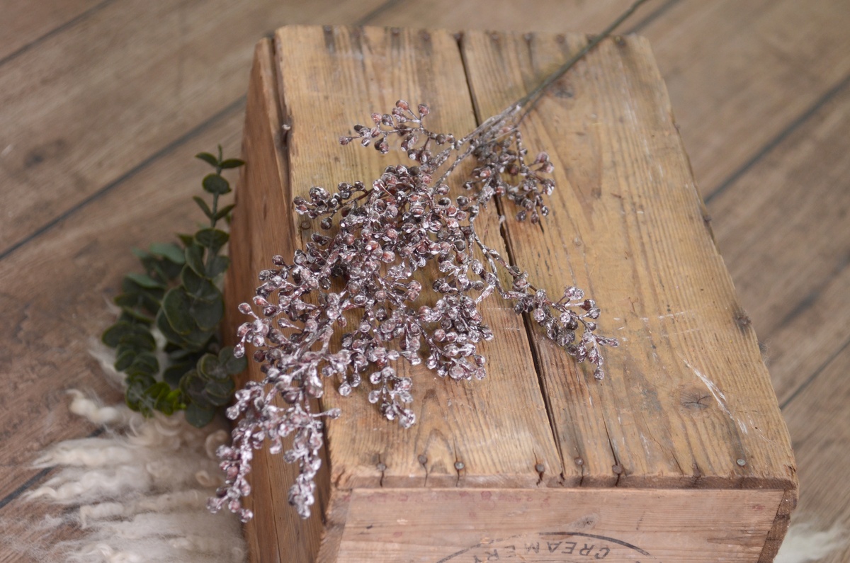 Decorative dark brown-berry stick