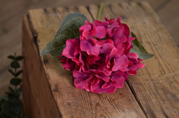 Vara de hortensia rosa oscuro
