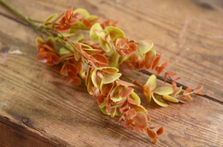 Bouquet di eucalipto verde e marrone