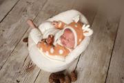 Reindeer set