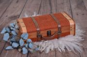Small russet suitcase