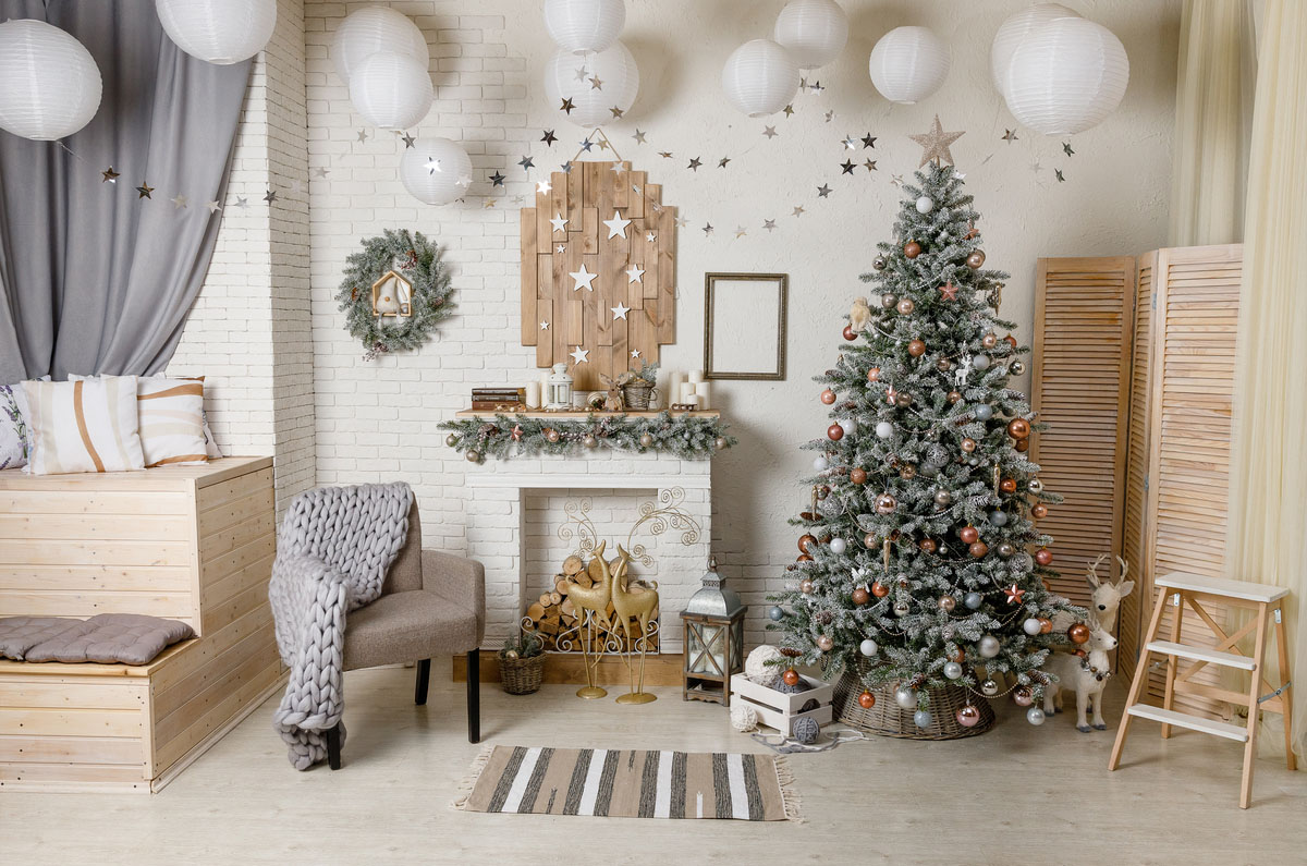 Studio backdrop NAV 31