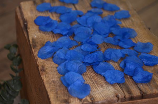Petali azzurri