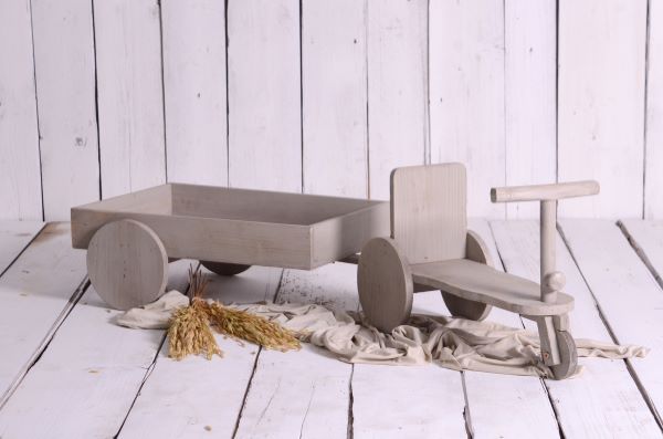 Ride-on - Model 4