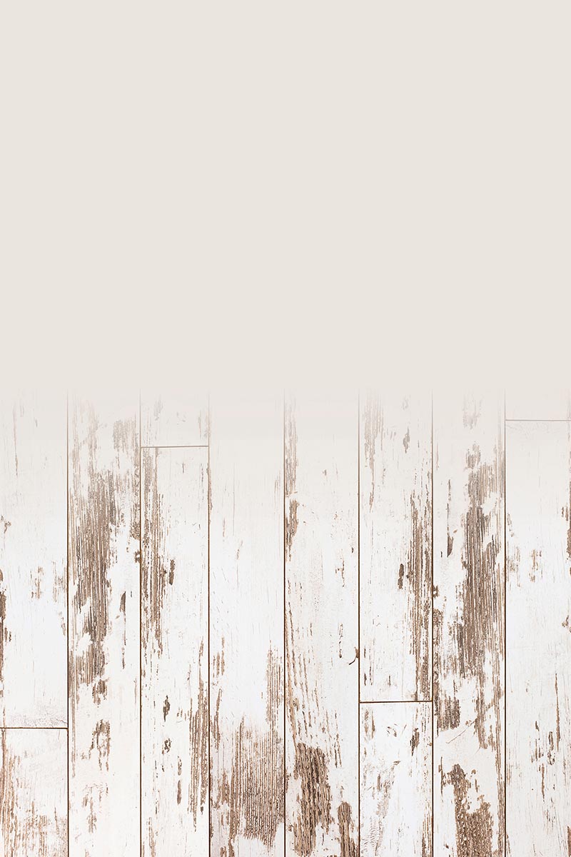 Studio background SSF 14