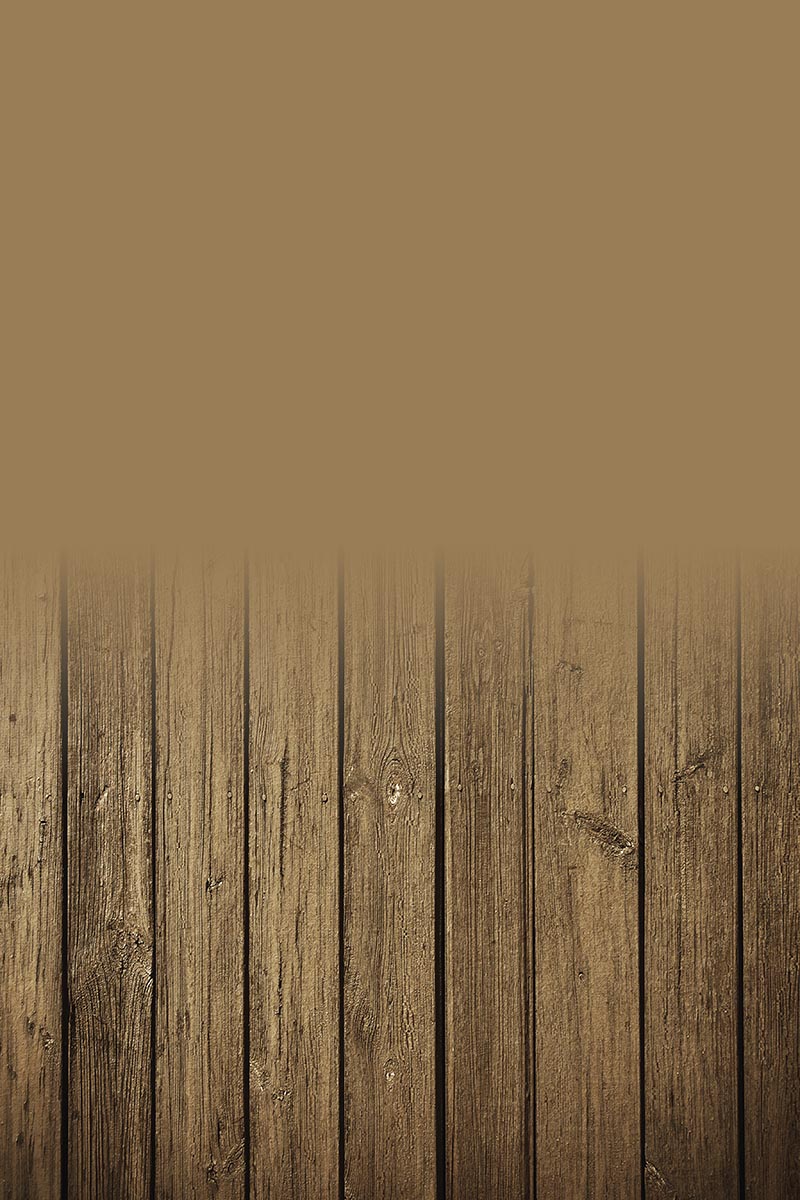 Studio background SSF 17