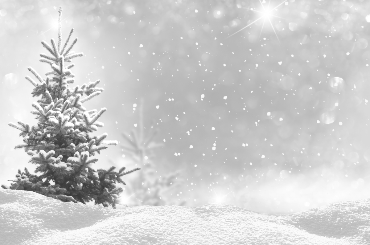 Studio backdrop NAV 04