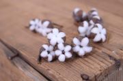 Pack de mini-fleurs de coton