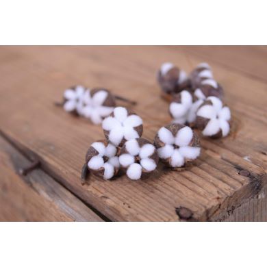 Pack de mini-fleurs de coton