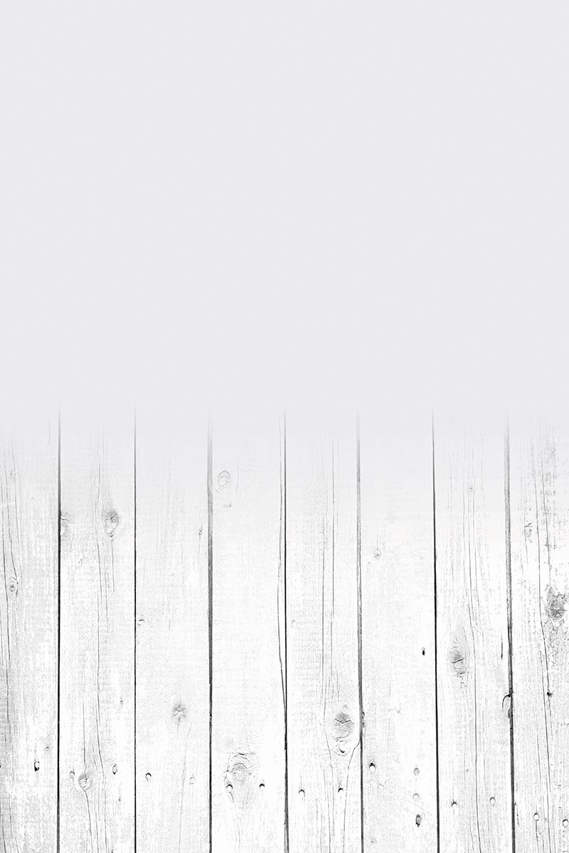 Studio background SSF 13