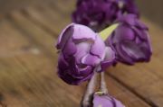 Bastone di fiori viola