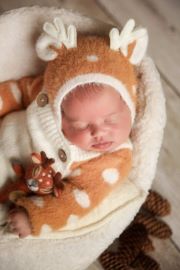 Reindeer set