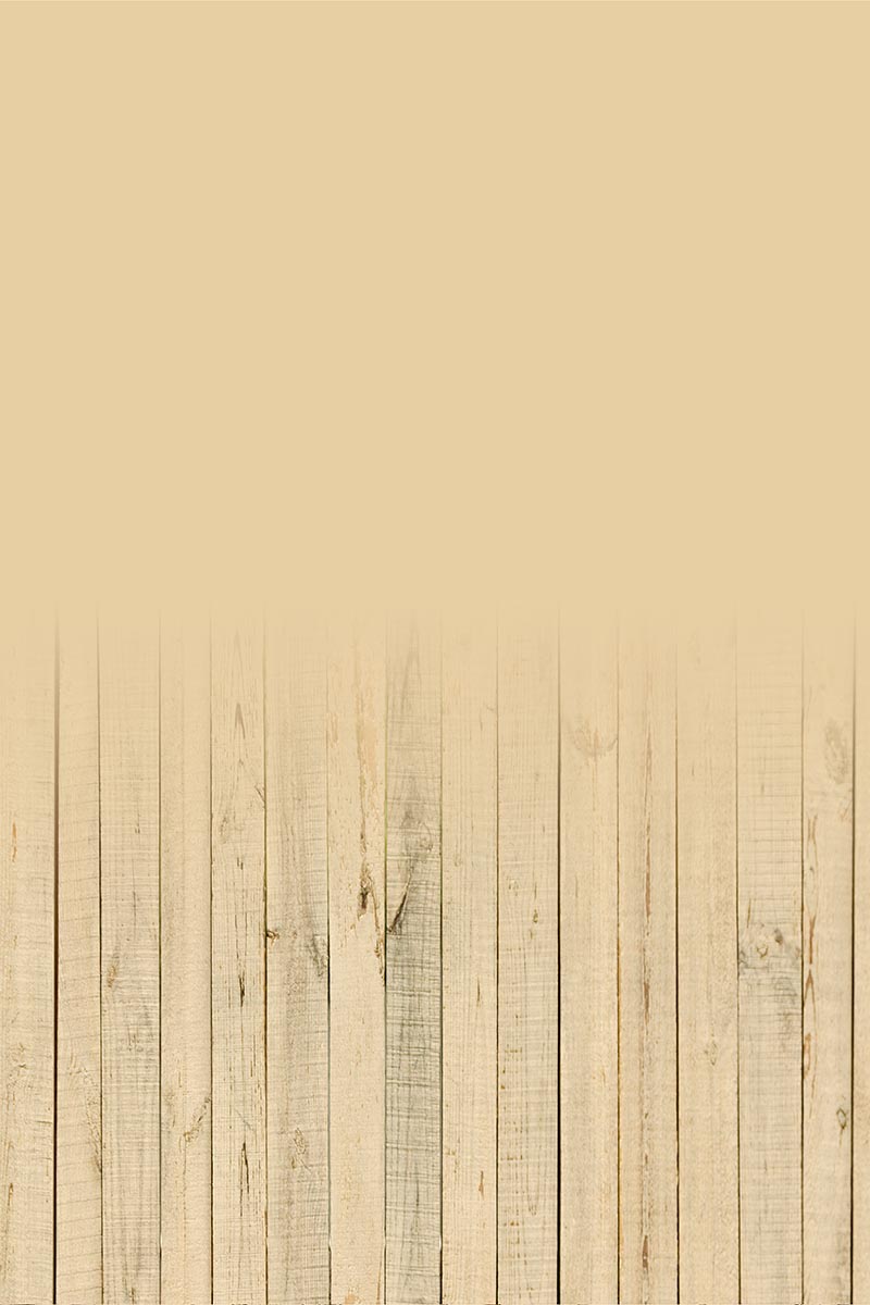 Studio background SSF 10