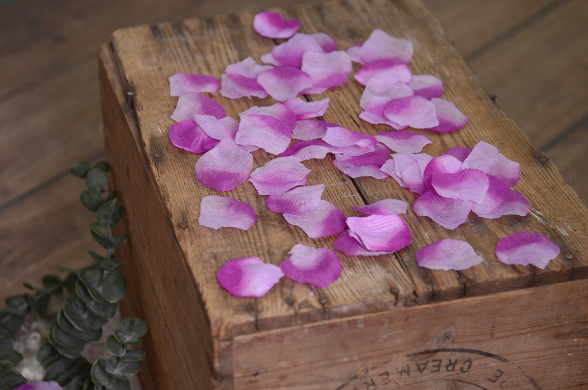 Purple and lilac petals