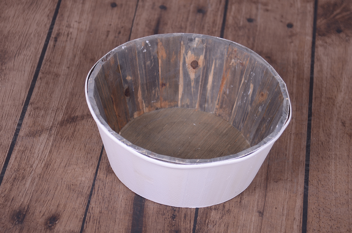 TARE - Terrine Draco