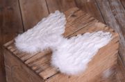 DAMAGED - Wings - Model 2