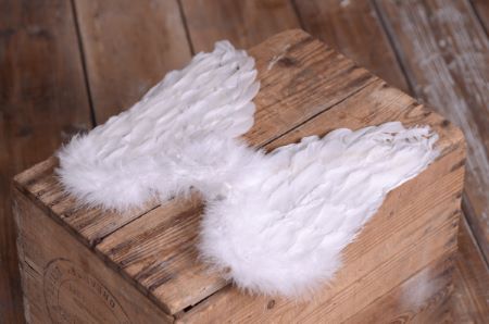 DAMAGED - Wings - Model 2
