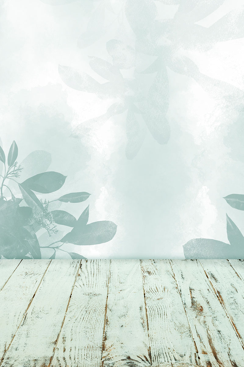 Studio background SP 35