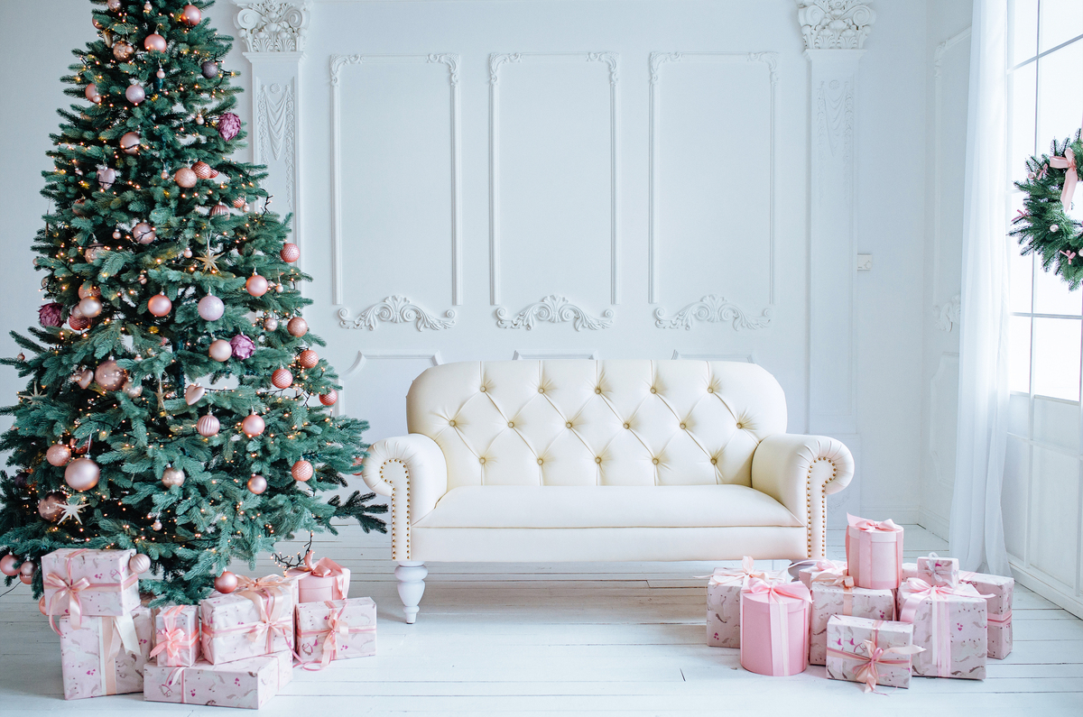 Studio backdrop NAV 14