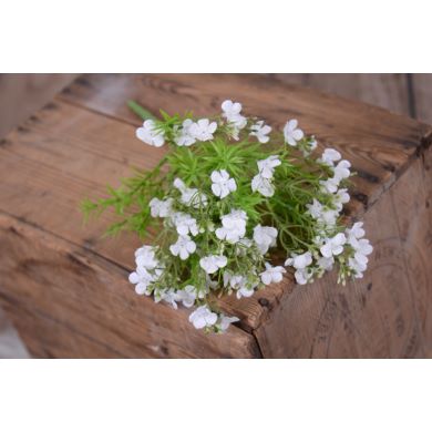 Bouquet de fleurs sauvages blanc