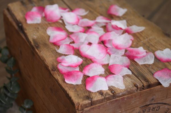 Pétalos rosa y blanco