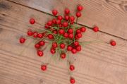 Red mini berries