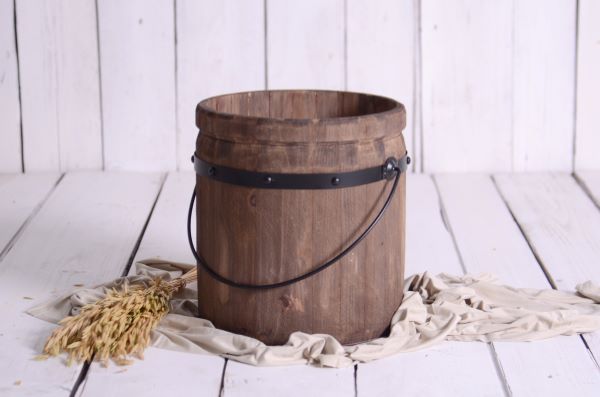 Bowl Lacerta