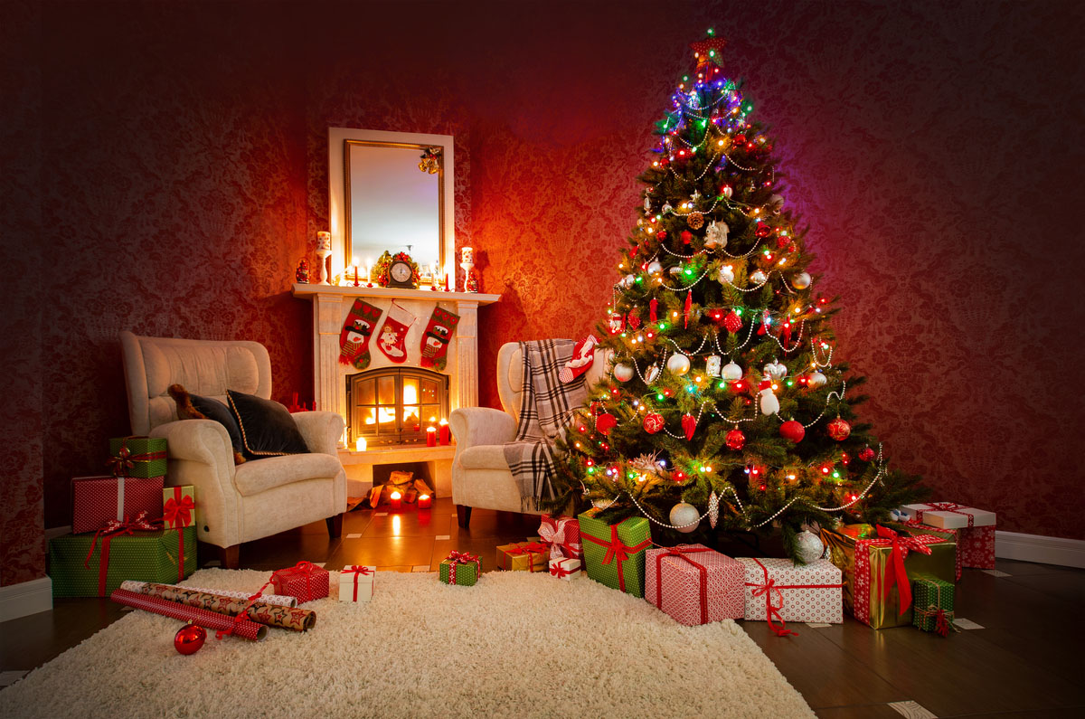 Studio backdrop NAV 65