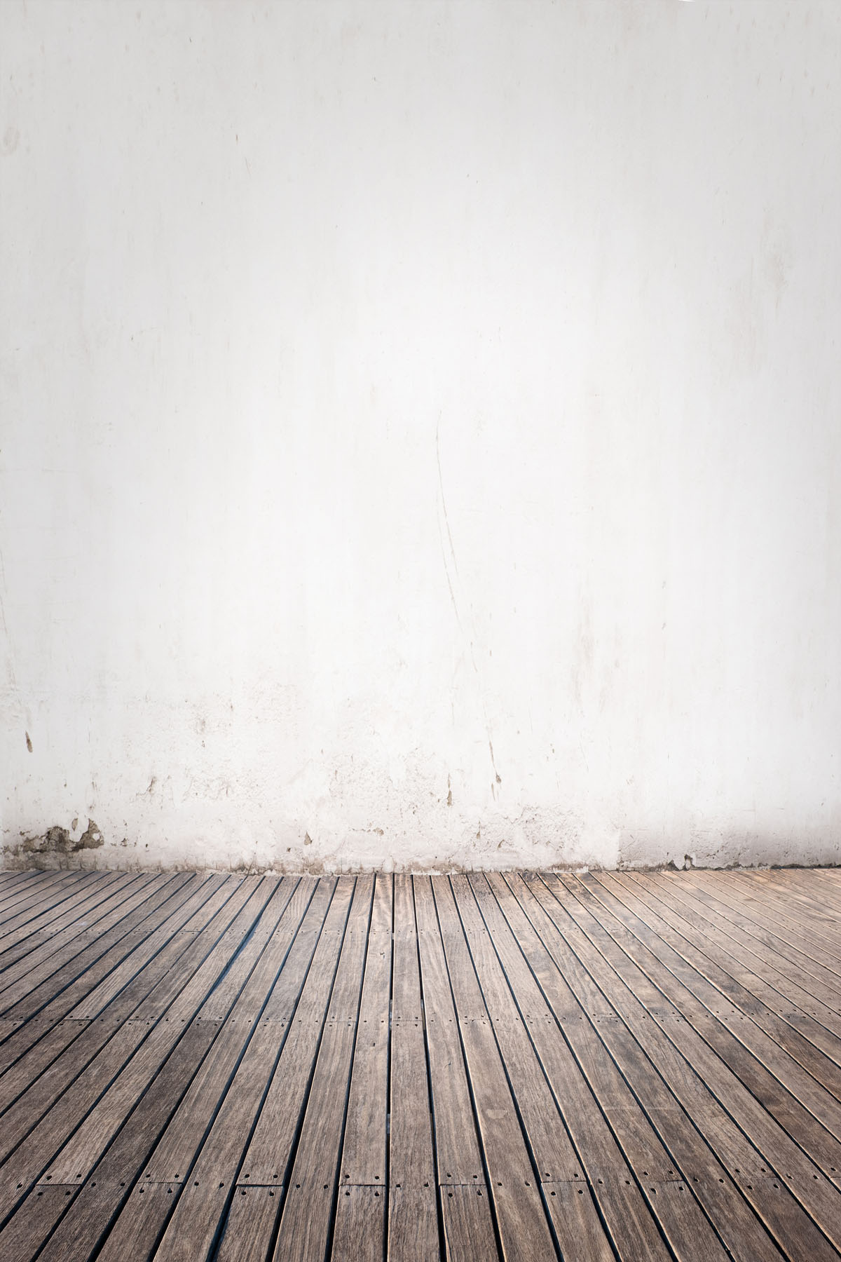 Studio background SP 20