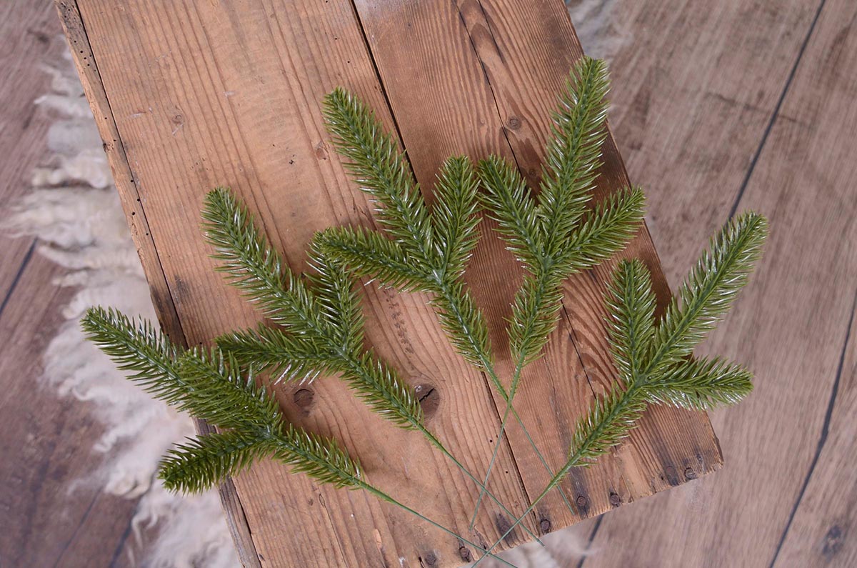 5-unit pine sticks pack - Model 1