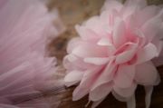 Red tulle tutu and flower headband set