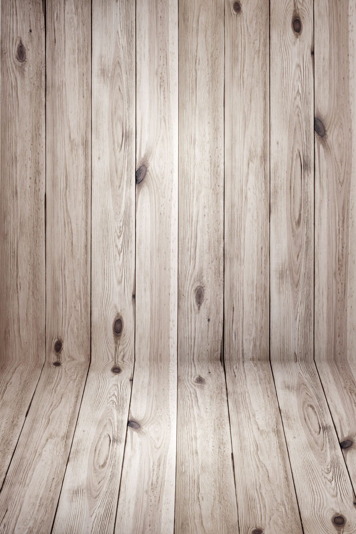 Studio background SP 11