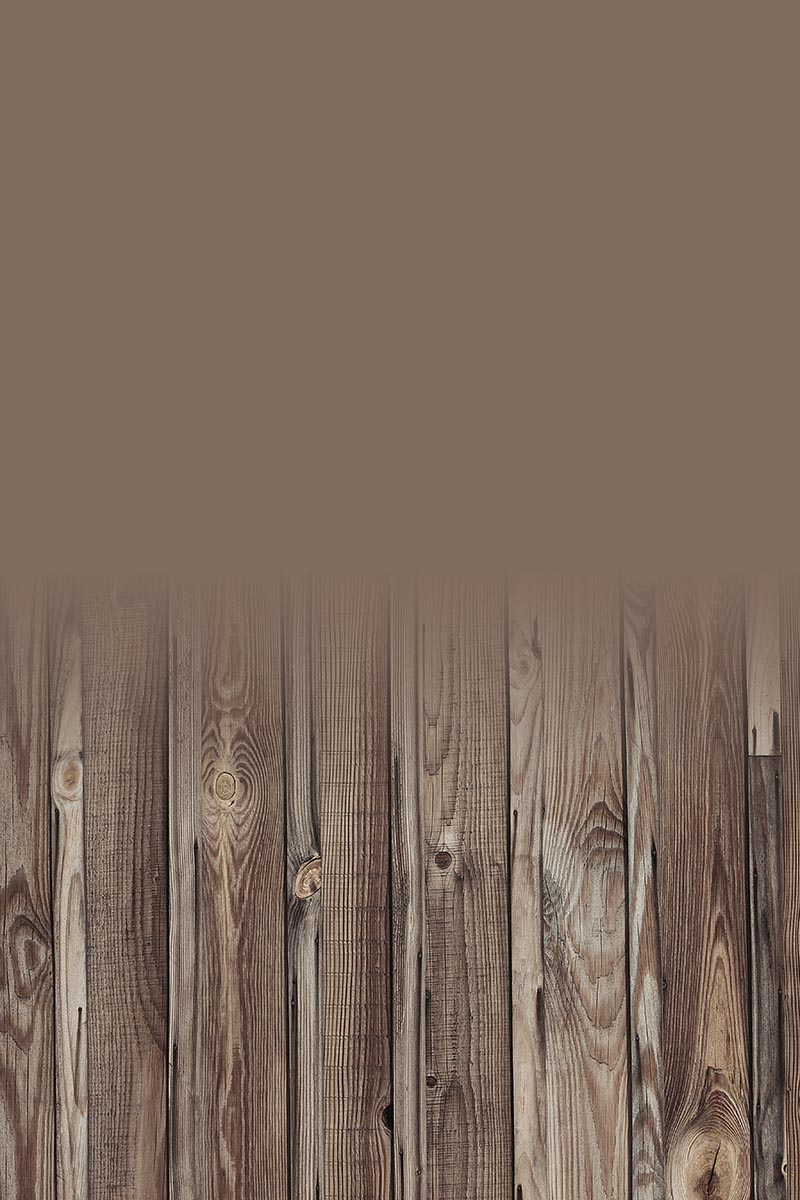 Studio background SSF 11