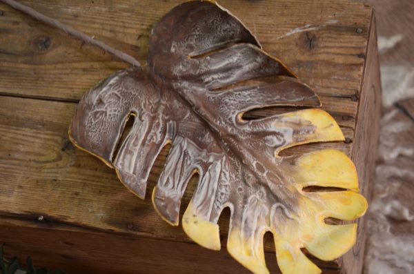 Hoja de monstera marrón y amarillo