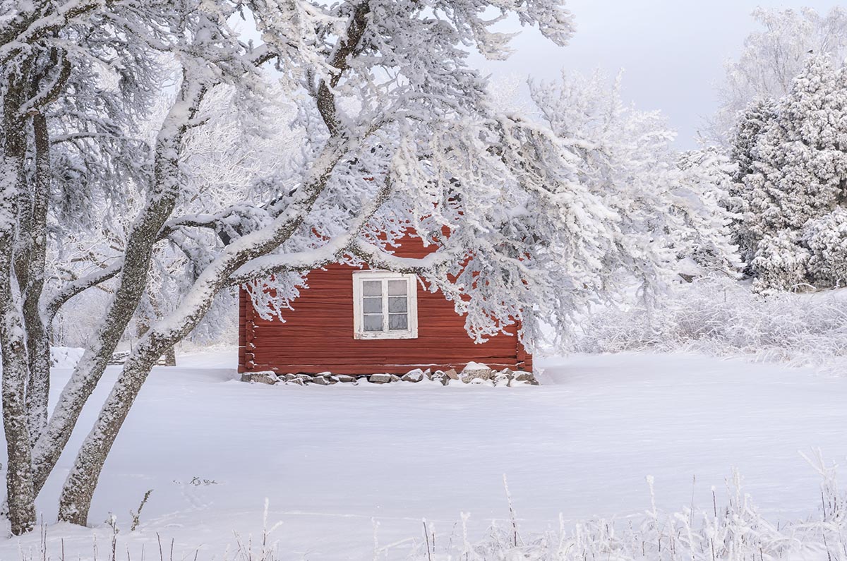 Studio backdrop NAV 49