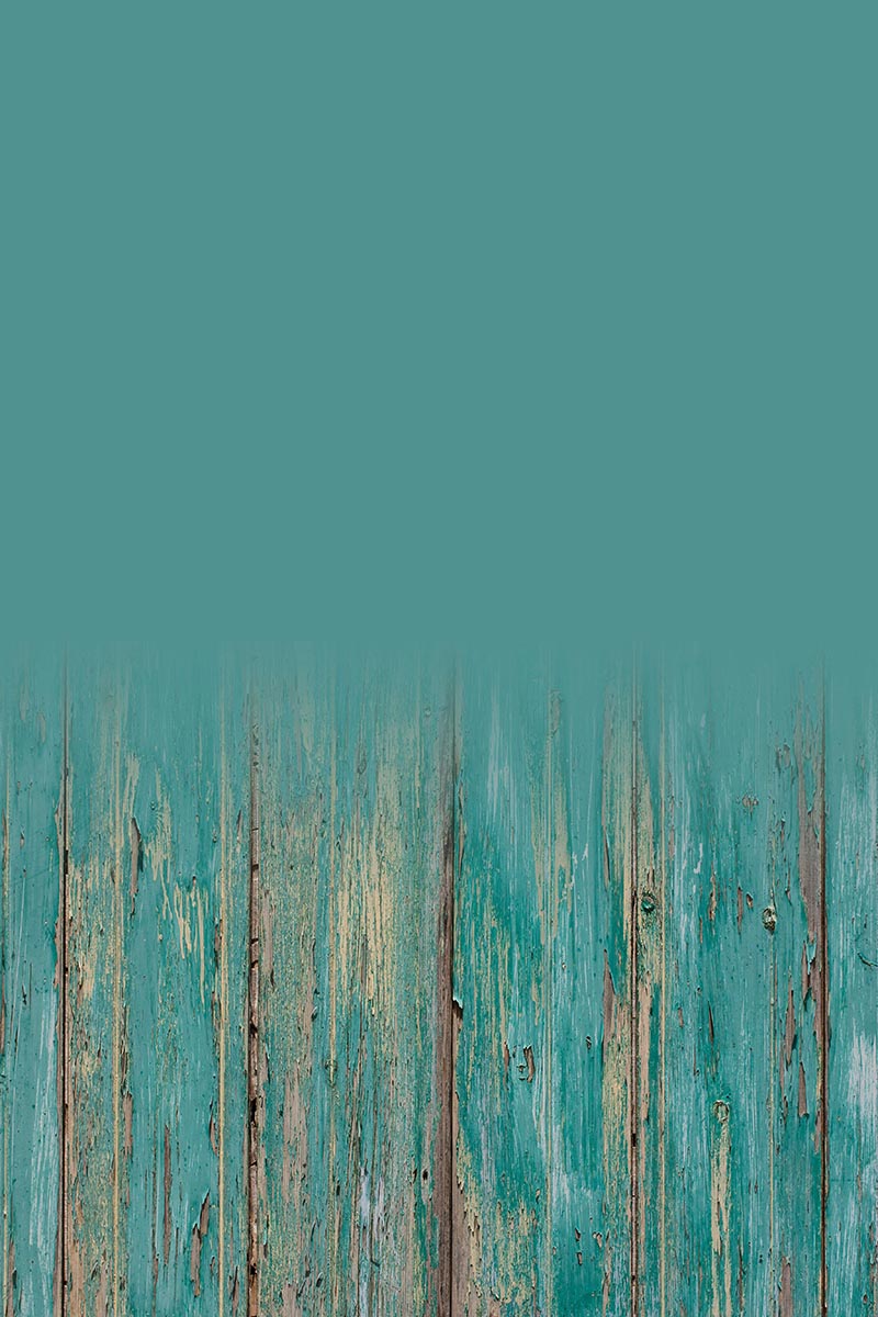 Studio background SSF 15