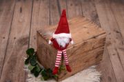 Christmas gnome - Model 3