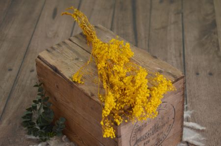 Bouquet di paniculata senape