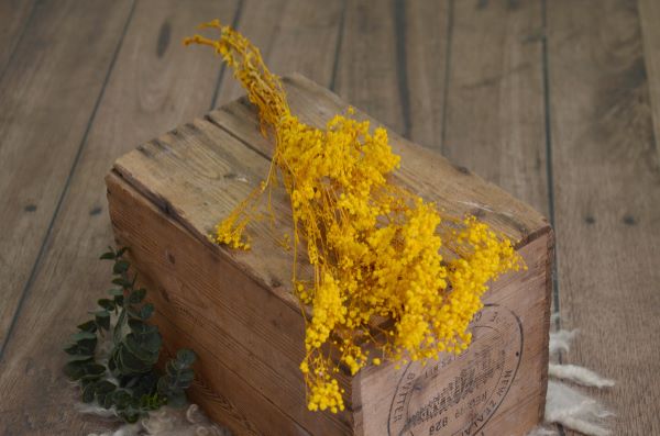 Mustard paniculata bouquet