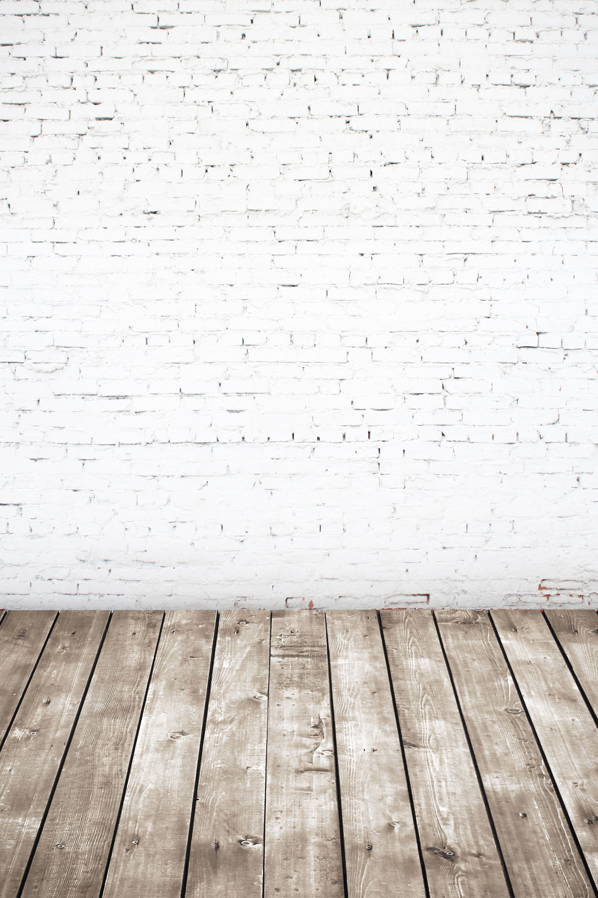 Studio background SP 3