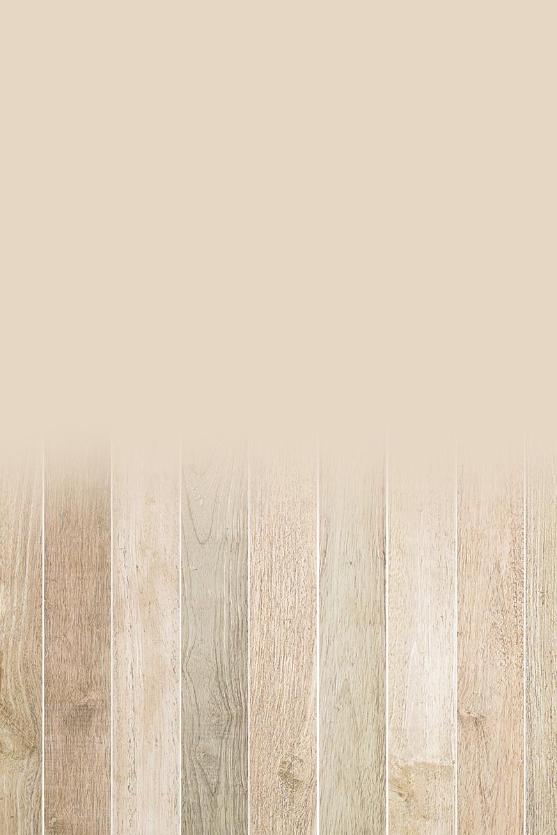 Studio background SSF 2