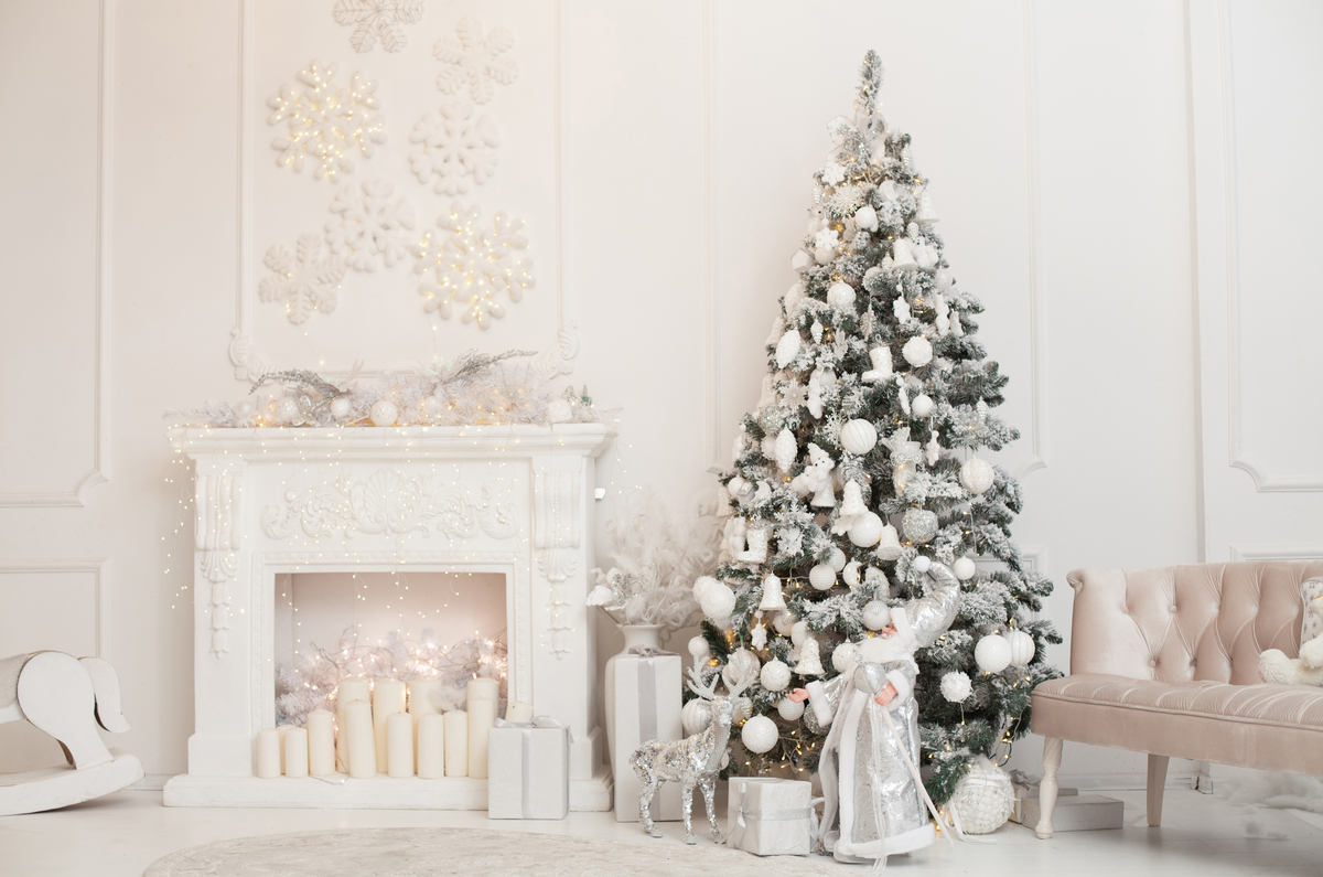 Studio backdrop NAV 44