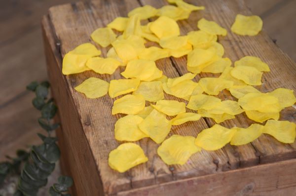 Mustard petals