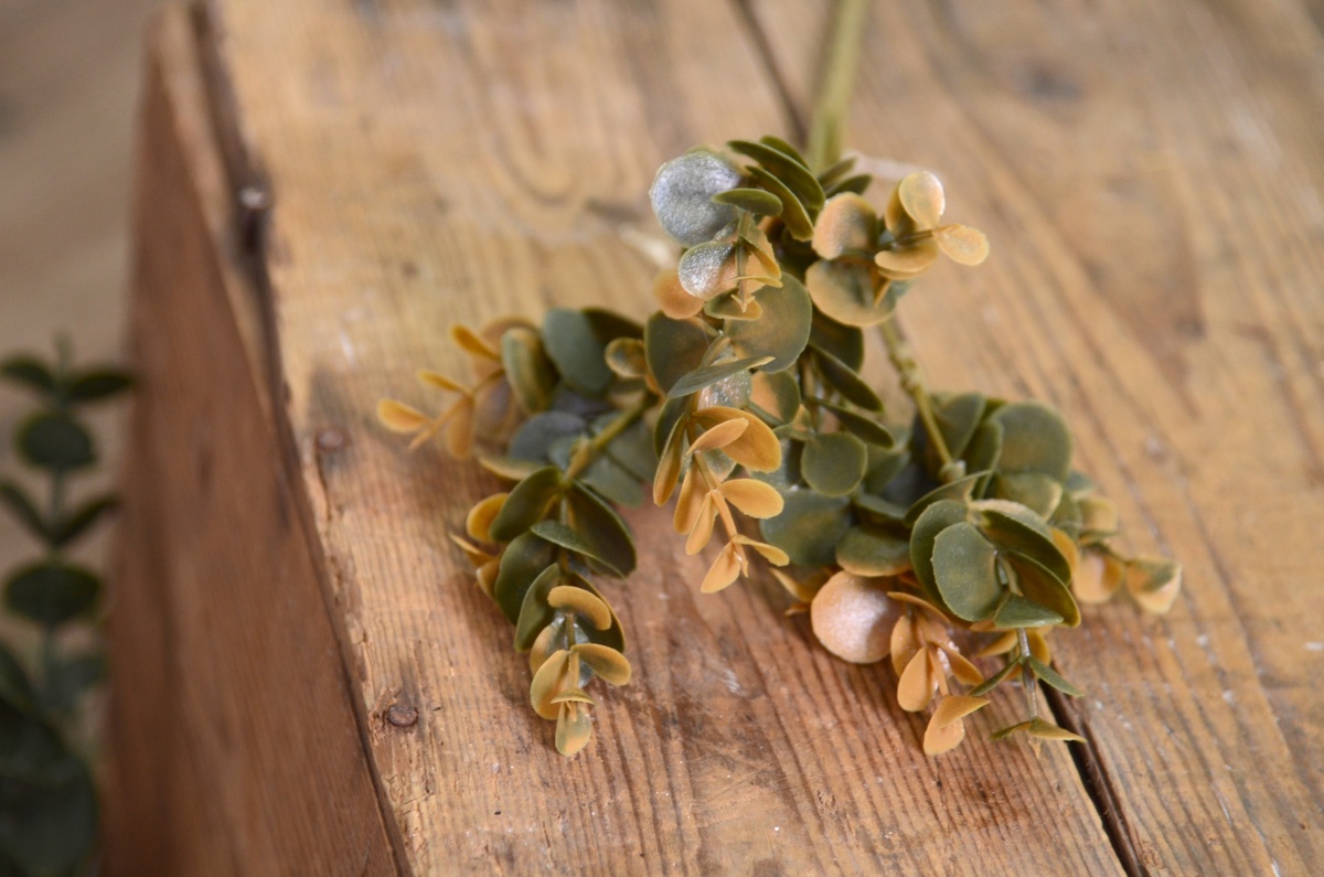 Ramo de eucalipto verde oscuro y caqui