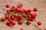 Red mini berries