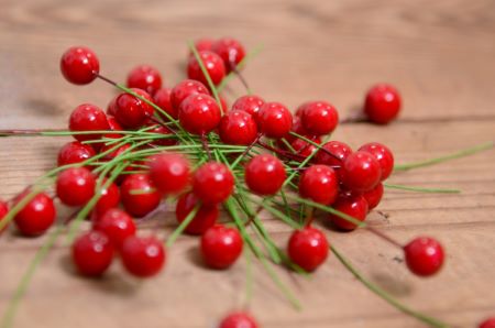 Red mini berries