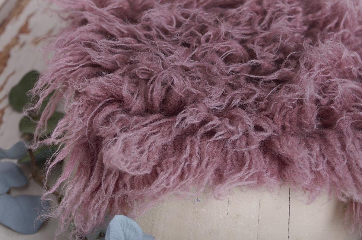 Kleines Flokati in Bougainvillea