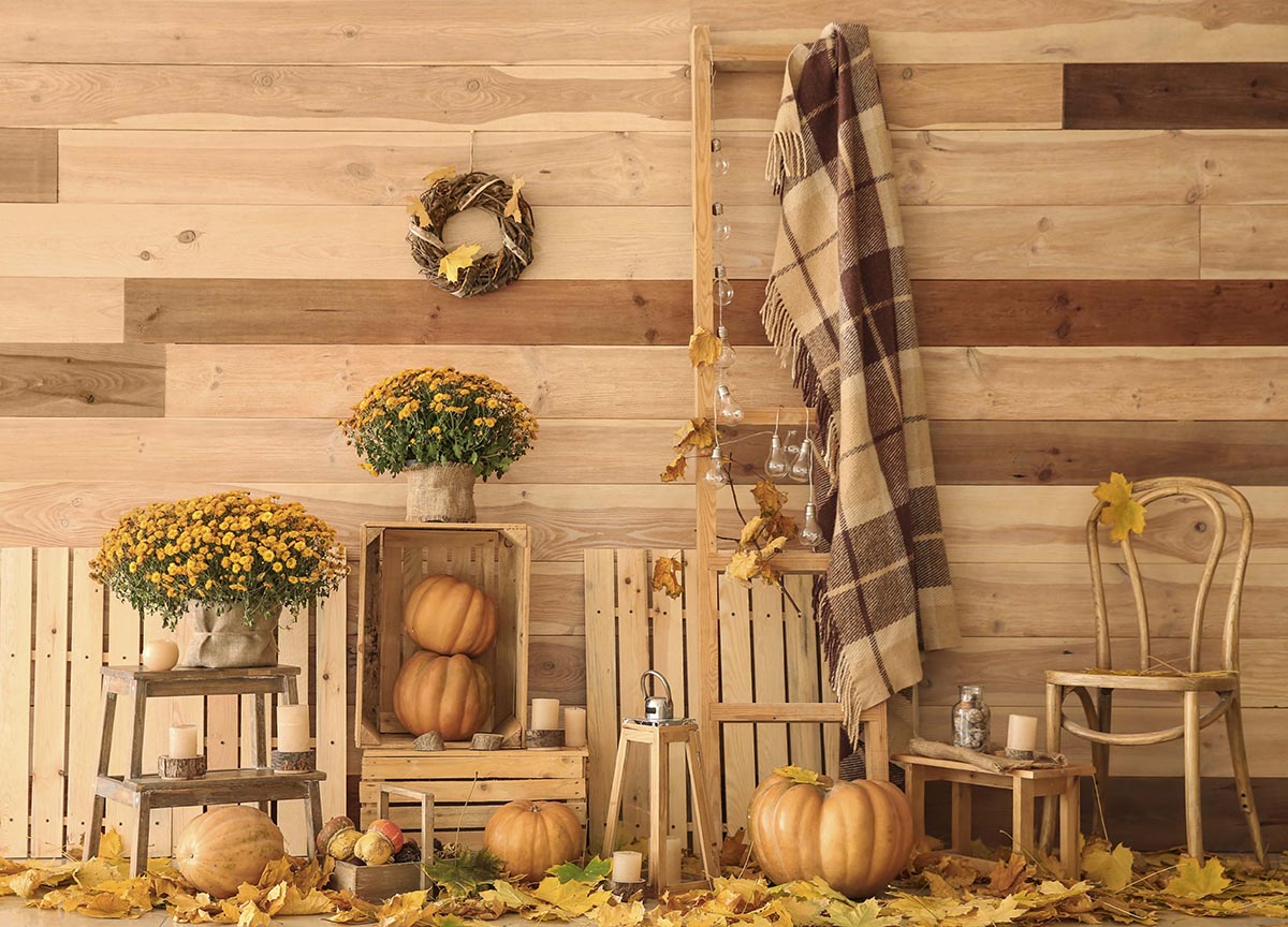 Fondo de estudio HA 06